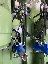 gr003025.jpg